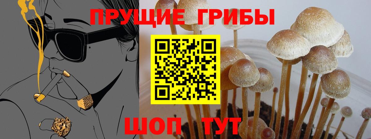 Галлюциногенные грибы прущие грибы  Псилоцибиновые грибы Psilocybine cubensis  Вход с VPN  цена наркотик  Елабуга 